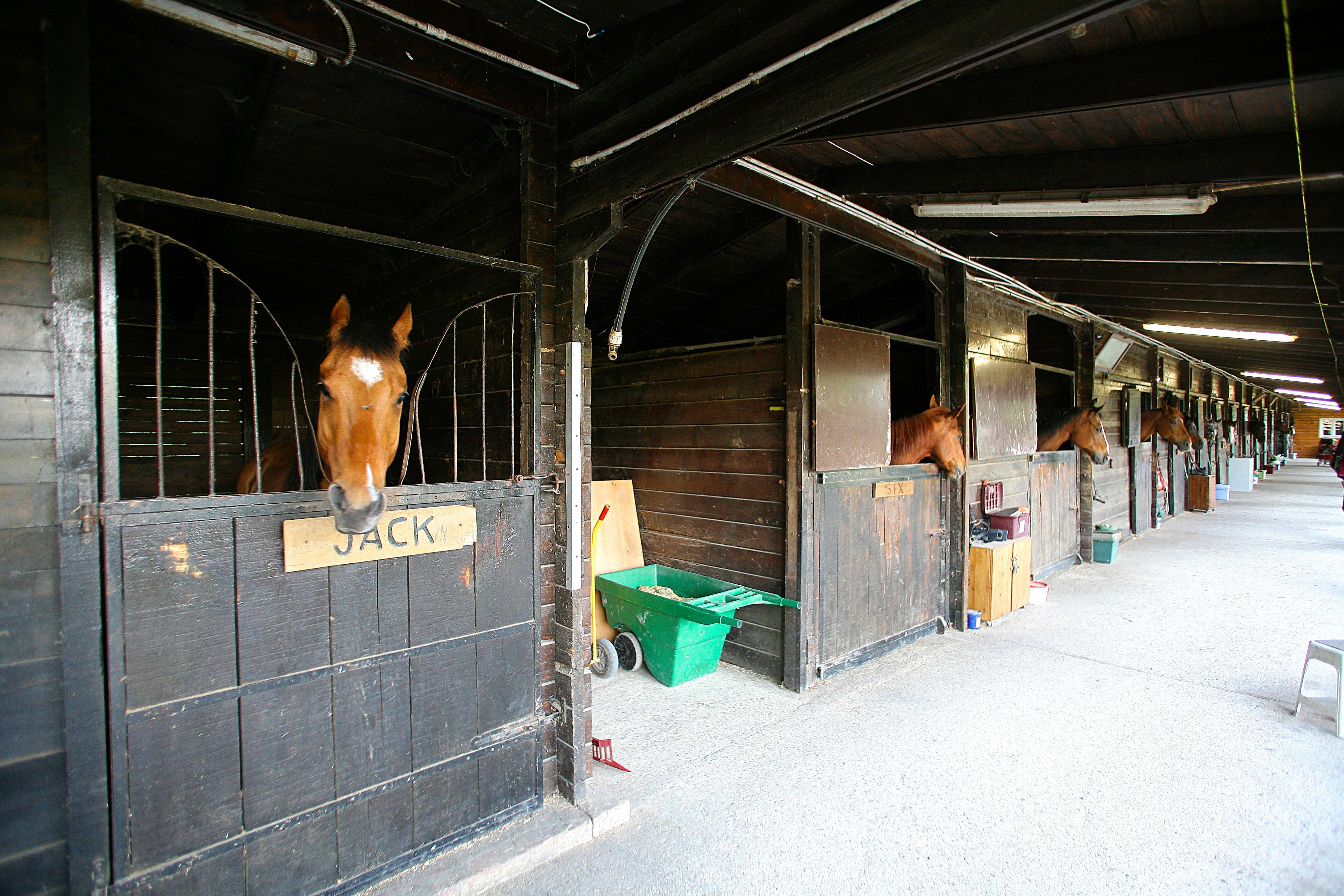 Tenuta Il Burchio Incisa in Val d'Arno Luaran gambar