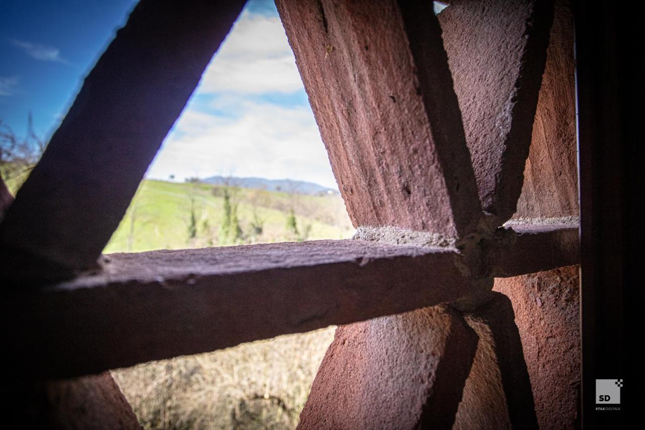 Tenuta Il Burchio Incisa in Val d'Arno Luaran gambar