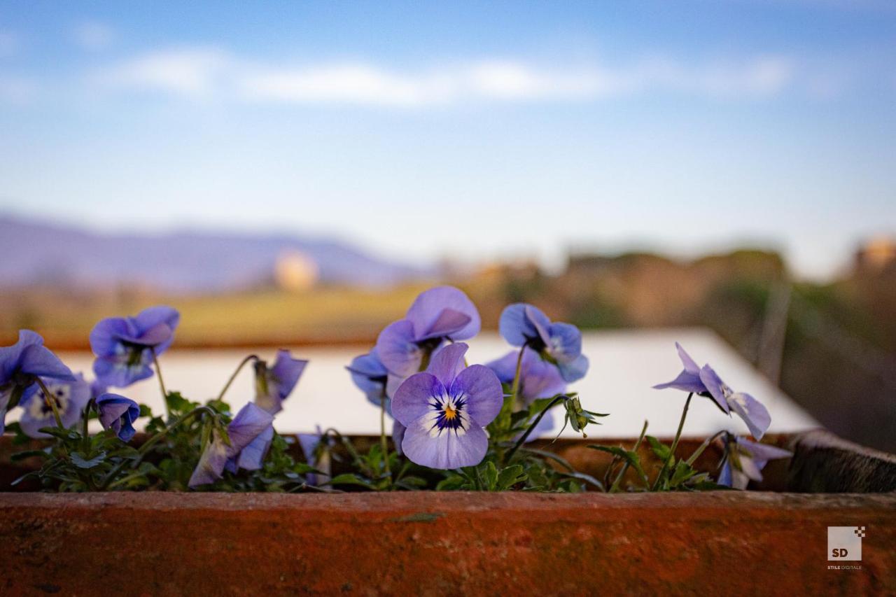 Tenuta Il Burchio Incisa in Val d'Arno Luaran gambar